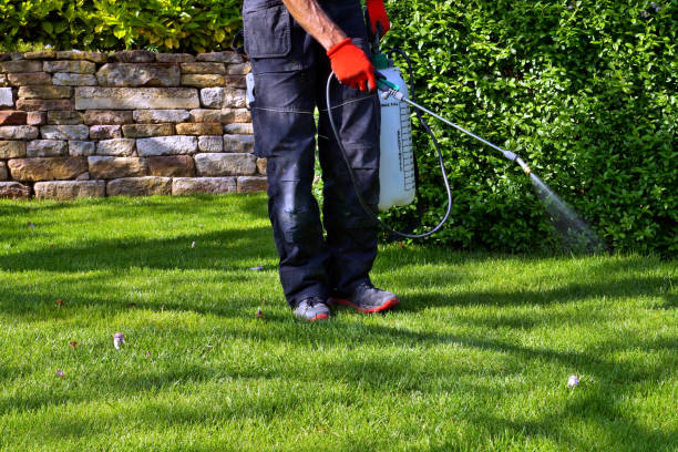 Best Pest Exclusion Services  in USA